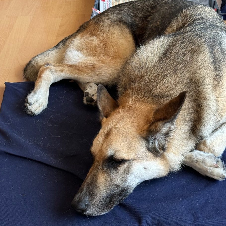 Krümmel bei der Behandlung mit der Magnetfelddecke